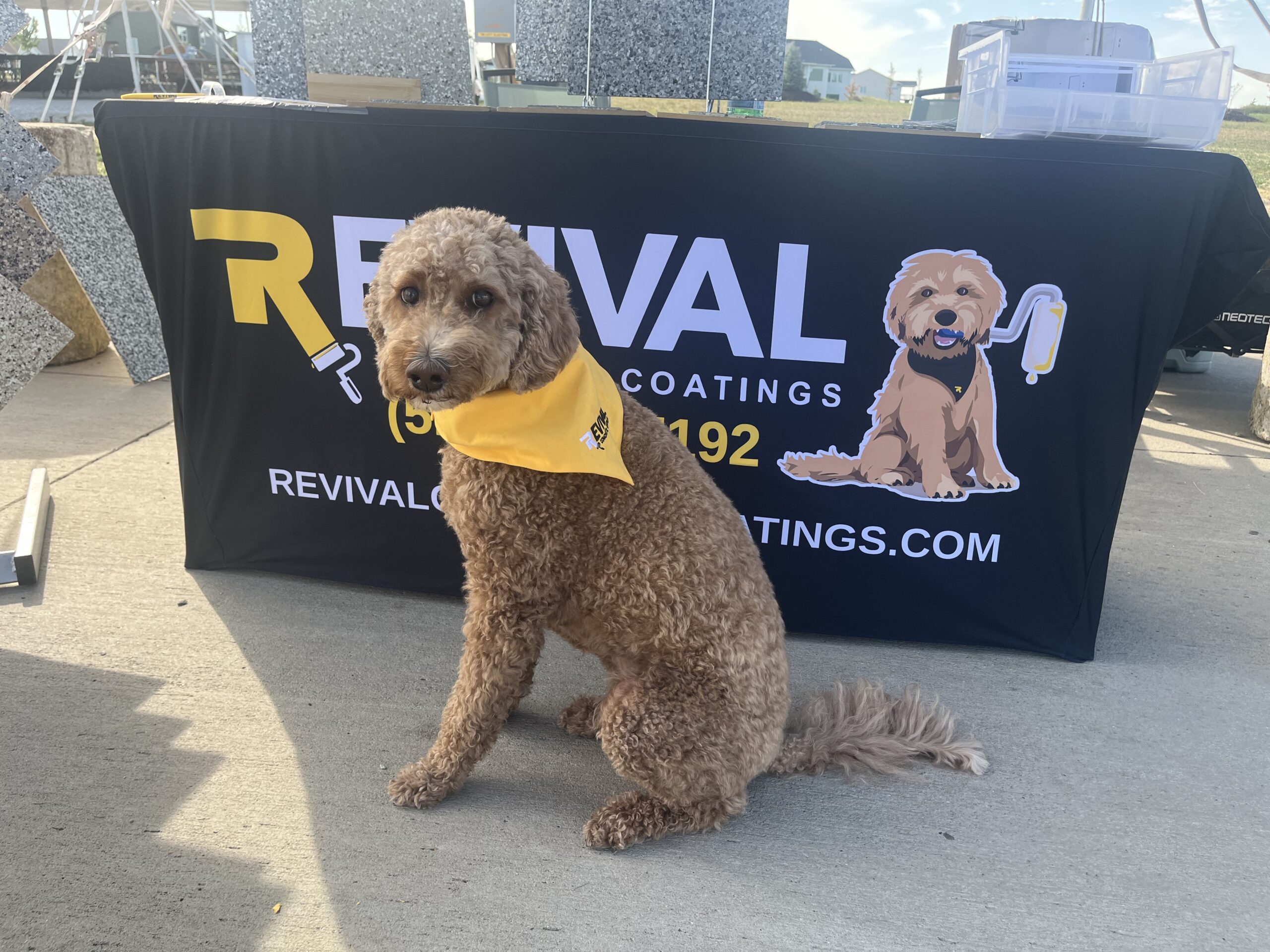 Revival crew at work